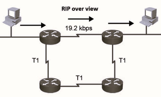 RIP協(xié)議究竟是什么意思啊-你問我答